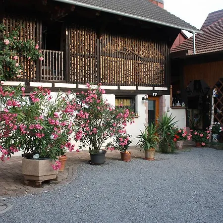 Ferienwohnung Fam. Höhn Kappel-Grafenhausen Exterior foto