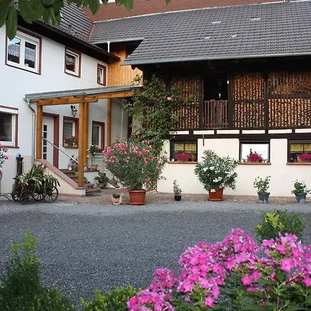 Ferienwohnung Fam. Höhn Kappel-Grafenhausen Exterior foto