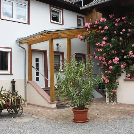 Ferienwohnung Fam. Höhn Kappel-Grafenhausen Exterior foto