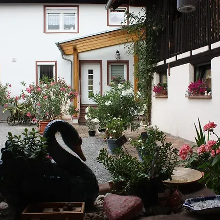 Ferienwohnung Fam. Höhn Kappel-Grafenhausen Exterior foto
