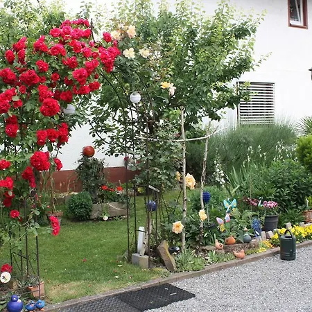 Ferienwohnung Fam. Höhn Kappel-Grafenhausen Exterior foto